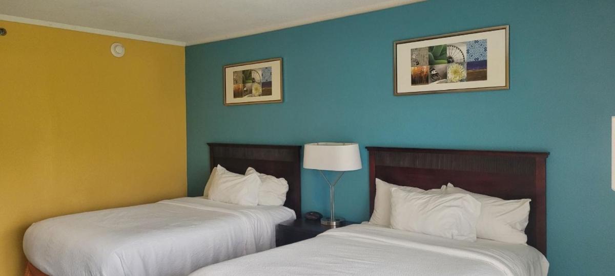 Popular attractions Area Nearby Property